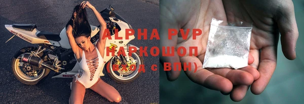 шишки Белокуриха