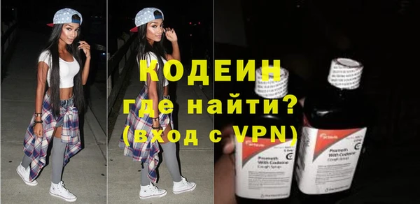 шишки Белокуриха