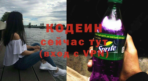 шишки Белокуриха