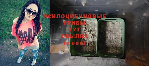 шишки Белокуриха