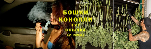 шишки Белокуриха