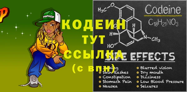 шишки Белокуриха