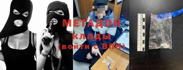 шишки Белокуриха