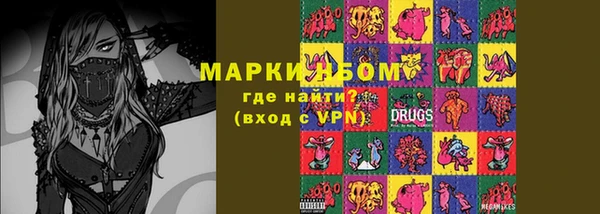 шишки Белокуриха
