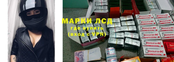 шишки Белокуриха