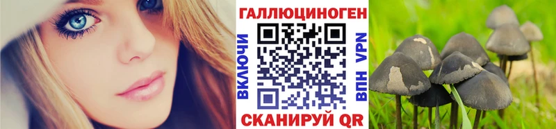 Галлюциногенные грибы Magic Shrooms  наркота  Пыть-Ях 