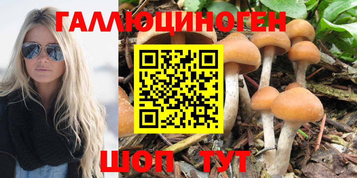 Пыть-Ях  Галлюциногенные грибы Psilocybine cubensis  Галлюциногенные грибы Psilocybe  Вход с VPN 